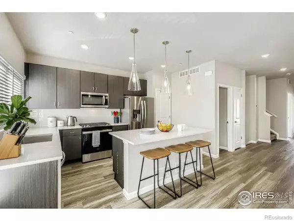 Fort Collins, CO 80524,919 Schlagel ST #2