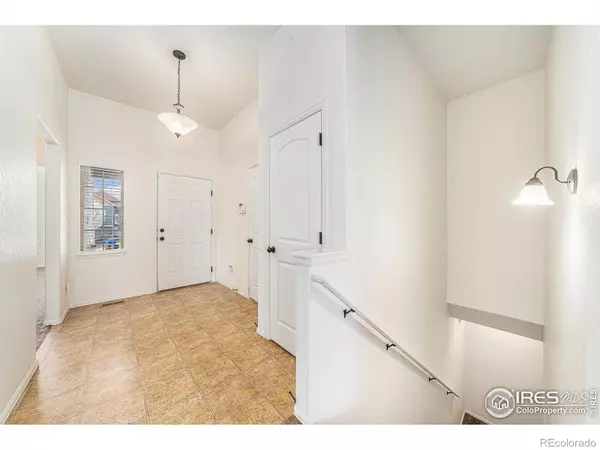 Windsor, CO 80550,447 Havenbrook DR