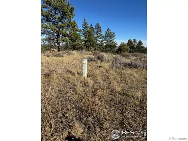 Livermore, CO 80536,2225 Montcalm DR