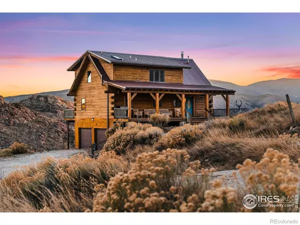 Livermore, CO 80536,113 Purple Mountain CT