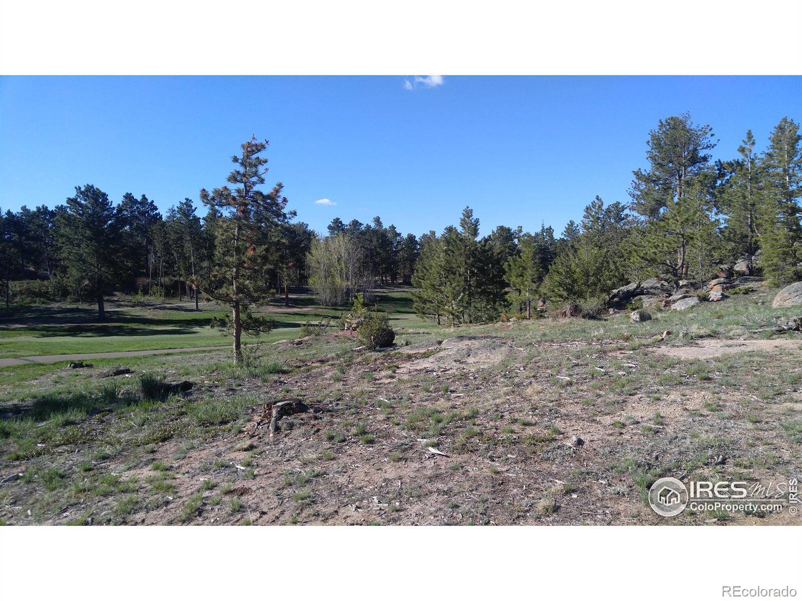 3031 Lake Arapahoe CT, Red Feather Lakes, CO 80545