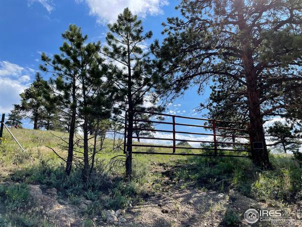 Estes Park, CO 80517,0 Elm DR