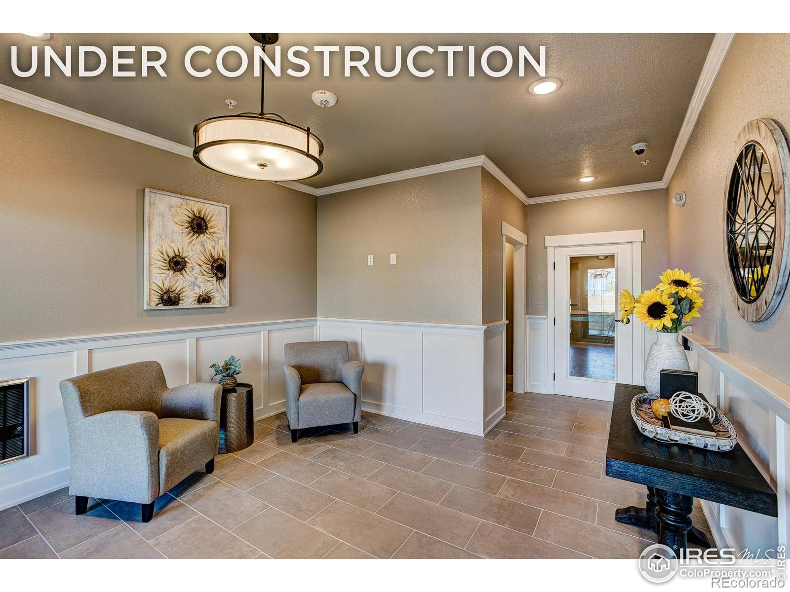 4622 Hahns Peak DR #204, Loveland, CO 80538