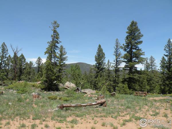 5229 N County Road 73C, Red Feather Lakes, CO 80545