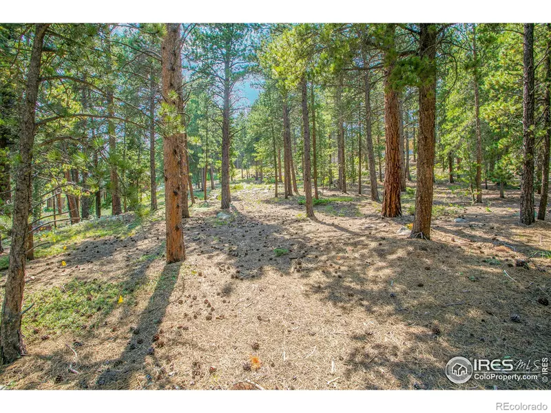 705 McMillen WAY, Nederland, CO 80466