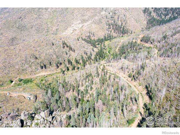 Bellvue, CO 80512,0 TBD Stratton Park Rd Lot 8