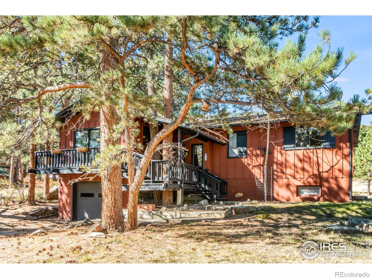 Estes Park, CO 80517,891 Shady LN