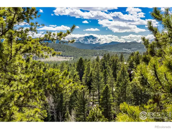 368 N Beaver RD, Nederland, CO 80466