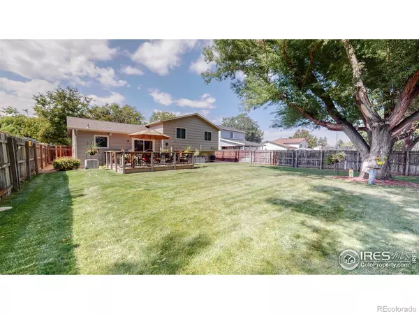 Fort Collins, CO 80526,3200 Lymen ST