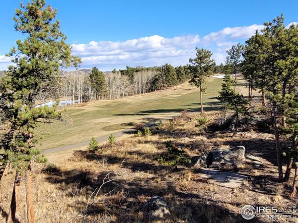 1532 W Fox Acres DR, Red Feather Lakes, CO 80545