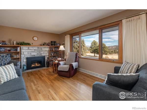 Estes Park, CO 80517,1015 Lexington LN