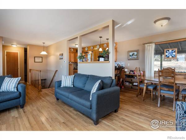 Estes Park, CO 80517,1015 Lexington LN