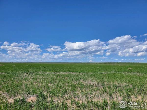 0 Lot 4 County Road 102, Nunn, CO 80648