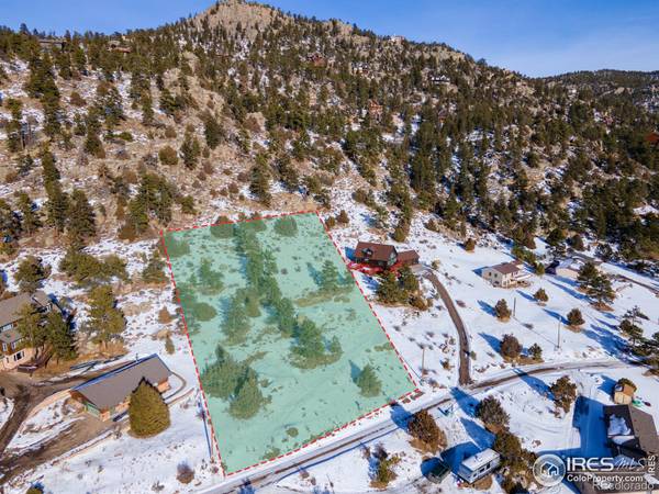 163 Meadowview DR, Estes Park, CO 80517