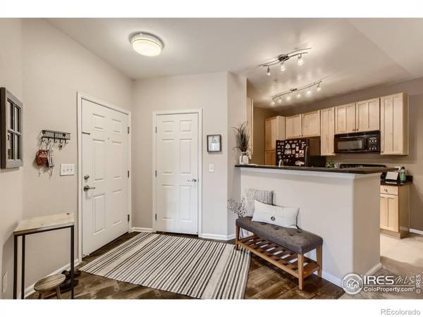 Erie, CO 80516,3035 Blue Sky CIR #10-205