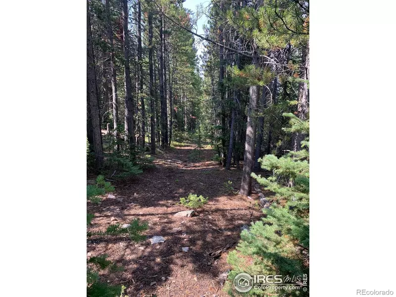 0 Bear Gulch Rd 195, Red Feather Lakes, CO 80545