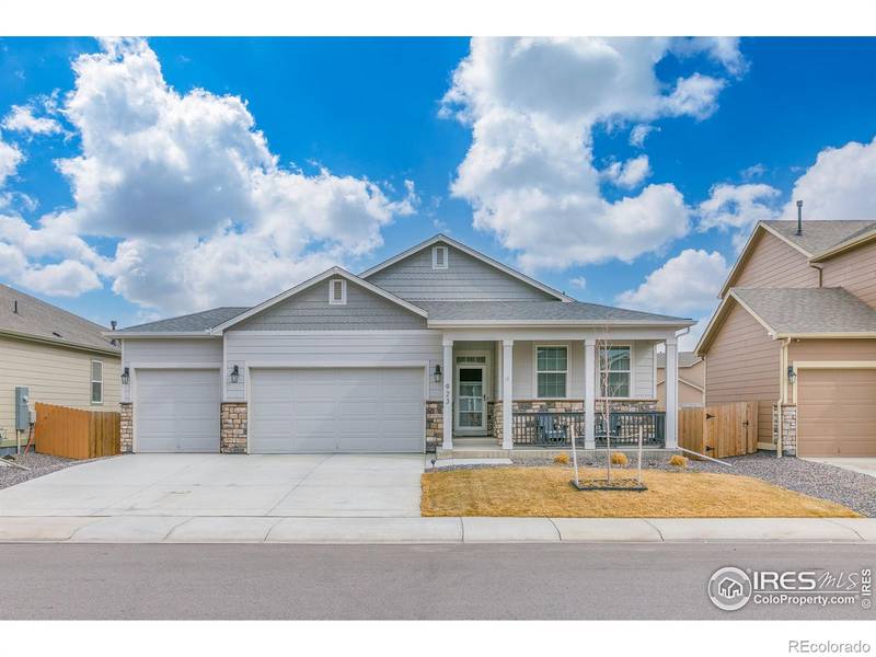 923 Camberly DR, Windsor, CO 80550