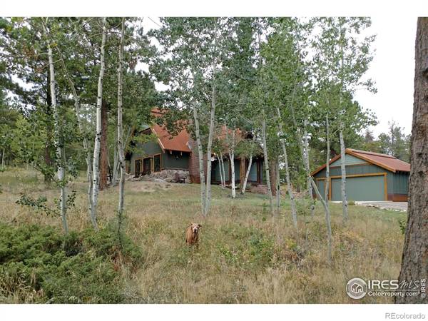 Nederland, CO 80466,67 Shady HOLW