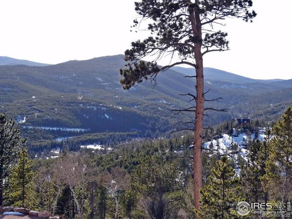 1601 Osage TRL, Red Feather Lakes, CO 80545