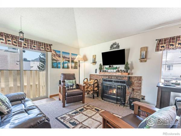 Estes Park, CO 80517,1010 S Saint Vrain AVE #1