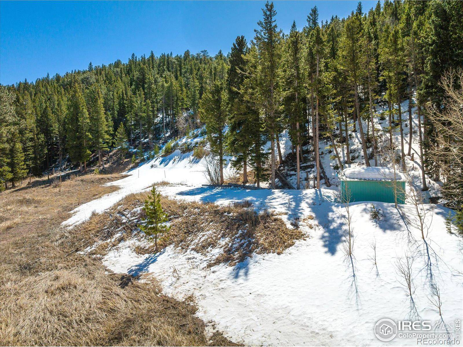 Nederland, CO 80466,267 Beaver Creek DR