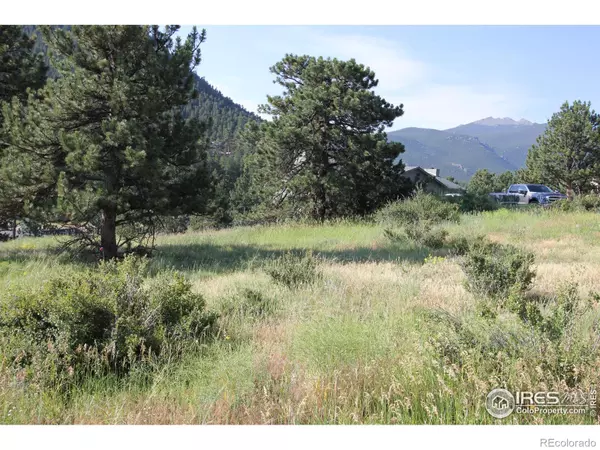 Estes Park, CO 80517,0 Clover LN