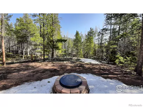 Red Feather Lakes, CO 80545,2581 Shoshoni DR