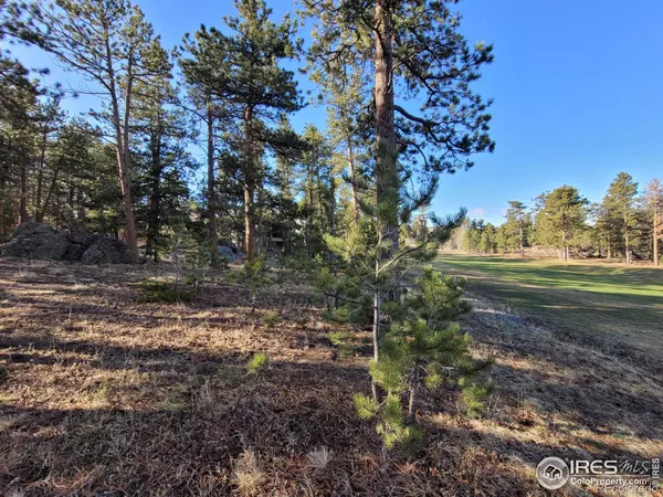 Red Feather Lakes, CO 80545,2311 Fox Acres DR