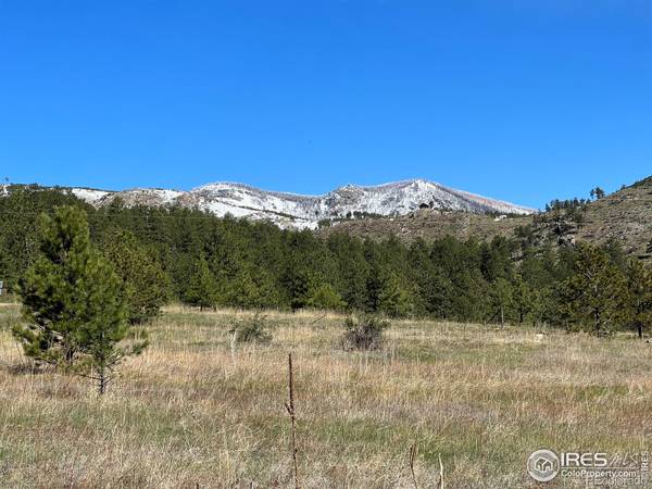 156 Lakeview DR, Drake, CO 80515