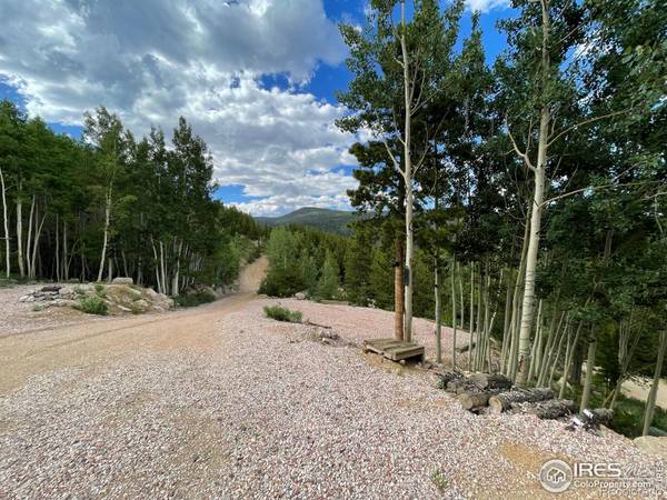 37 Yacqui CT, Red Feather Lakes, CO 80545