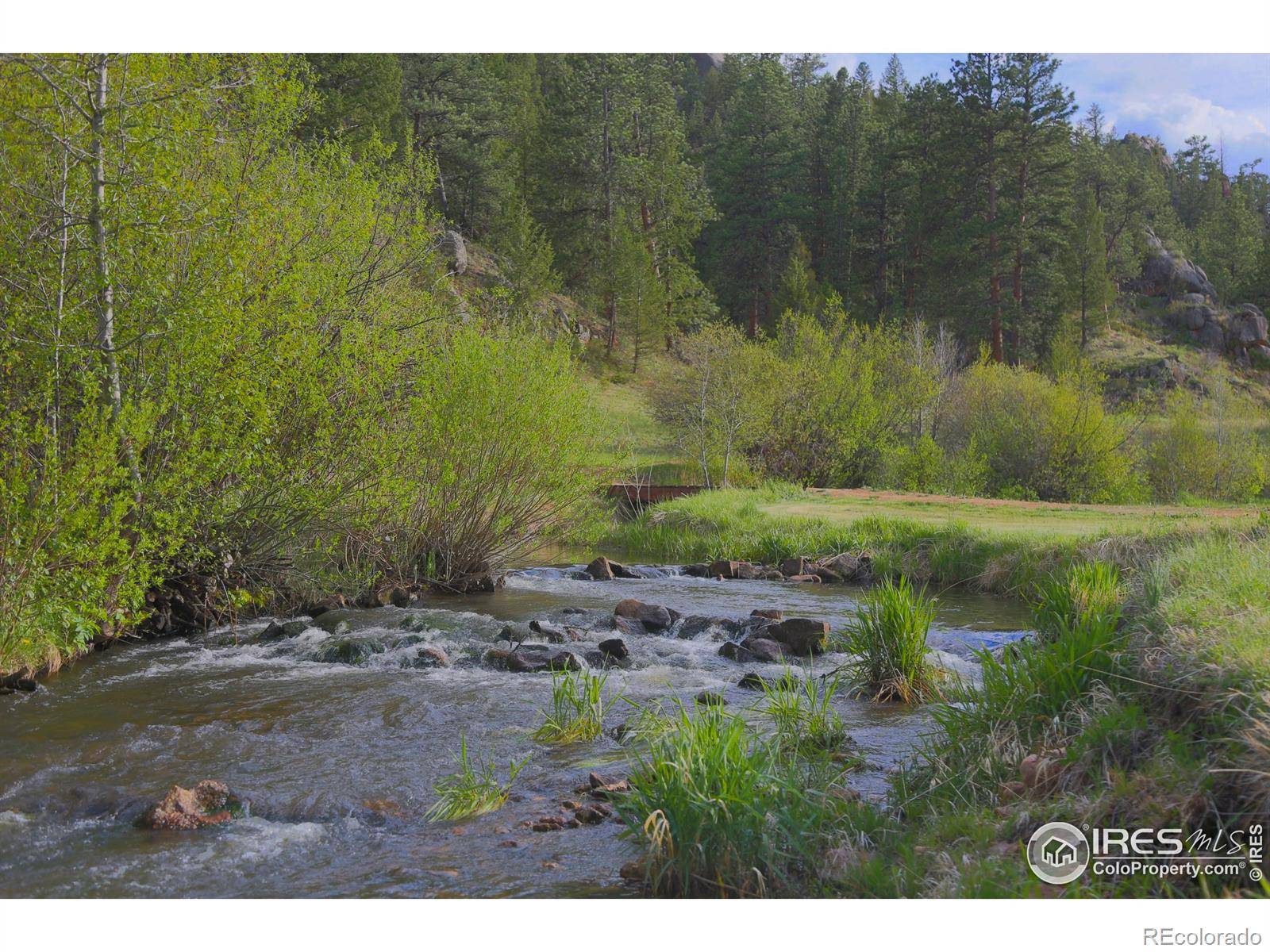 Livermore, CO 80536,99 Elkhorn House RD