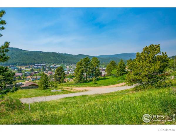 287 Boulder Canyon DR, Nederland, CO 80466