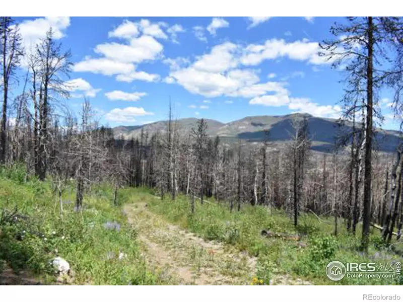 970 Deer Horn TRL, Bellvue, CO 80512