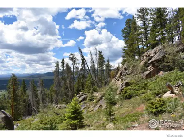 85 Piegan CT, Red Feather Lakes, CO 80545