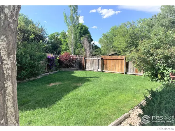 Fort Collins, CO 80526,500 Owl CT