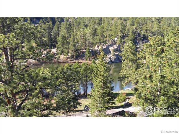 Red Feather Lakes, CO 80545,2584 E Fox Acres DR