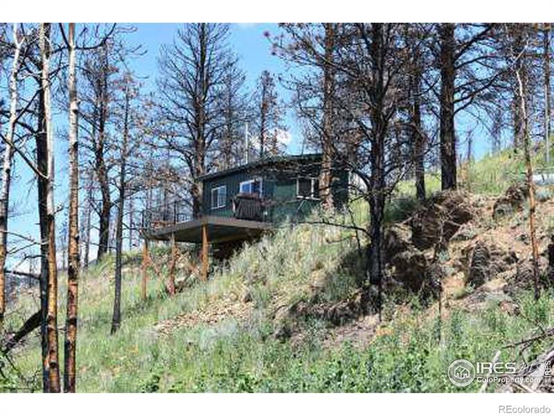 1138 Deer Horn TRL, Bellvue, CO 80512