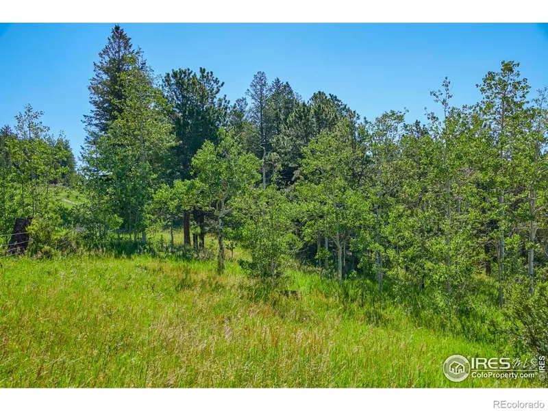 103 Juniper RD, Black Hawk, CO 80422