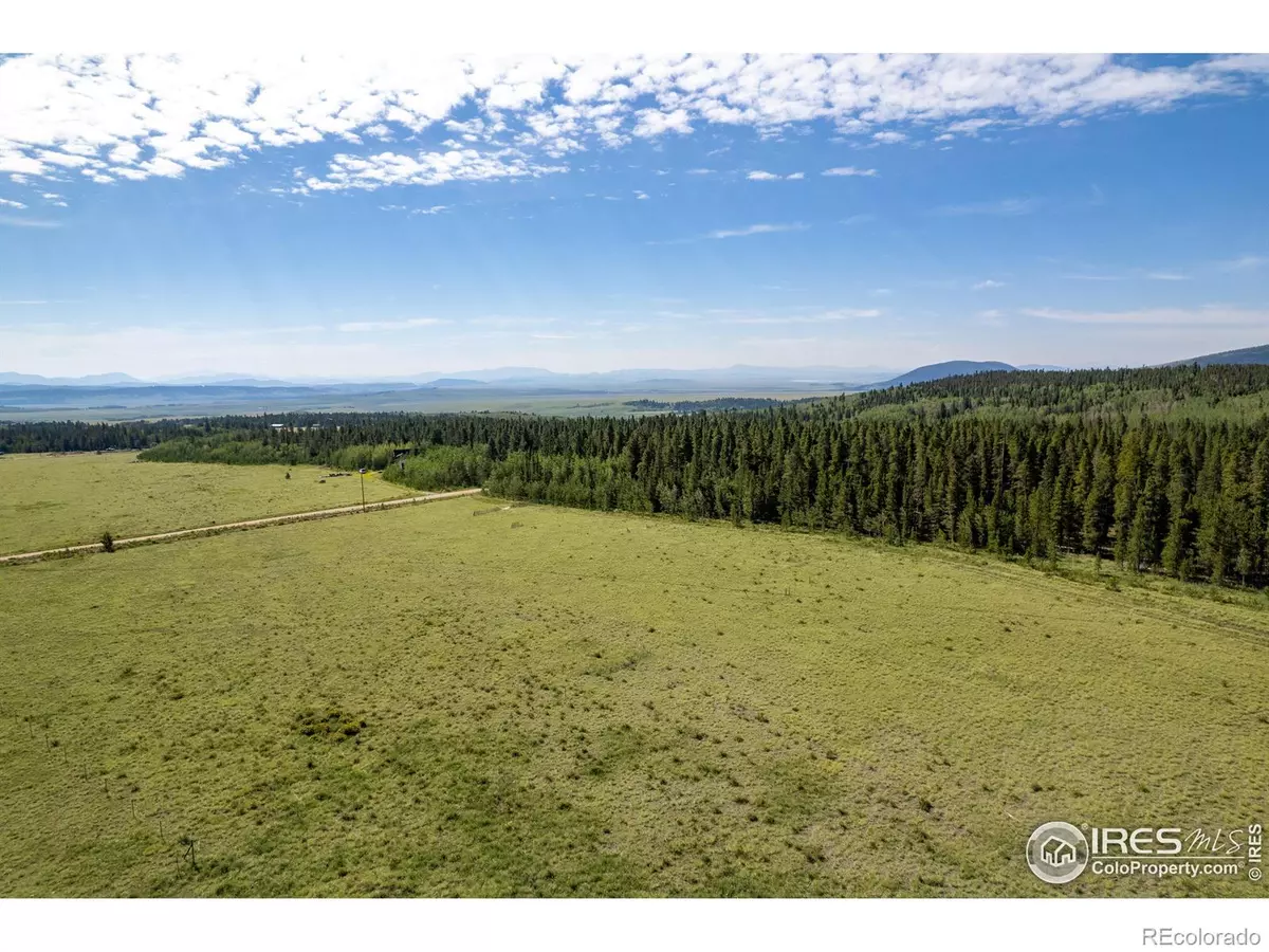 Fairplay, CO 80440,0 Bluestem WAY