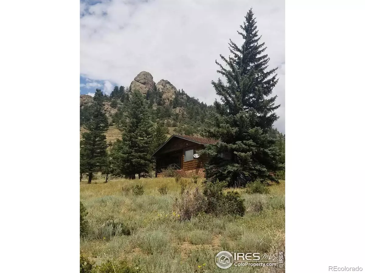 Estes Park, CO 80517,685 Peak View DR