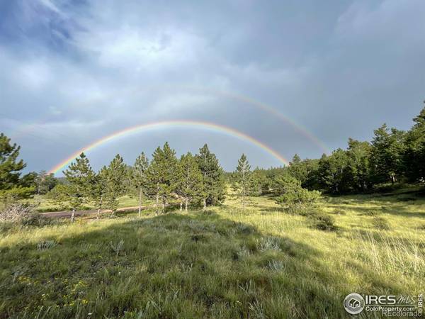 620 Springmeadow WAY, Red Feather Lakes, CO 80545