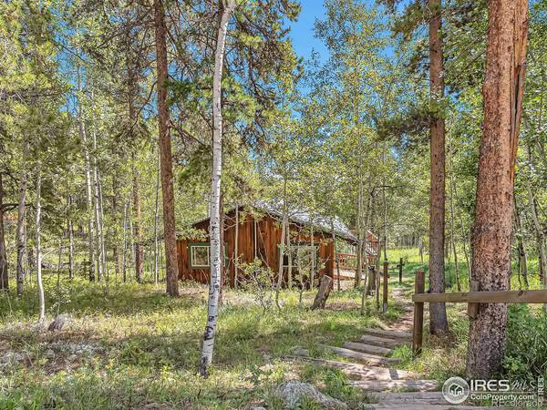 Nederland, CO 80466,228 Evergreen WAY