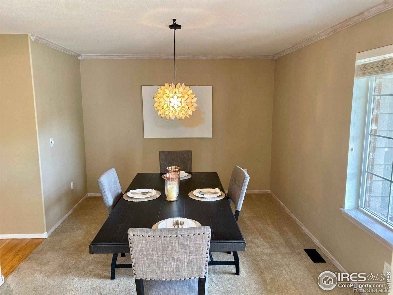 Longmont, CO 80503,3678 Dahlia WAY