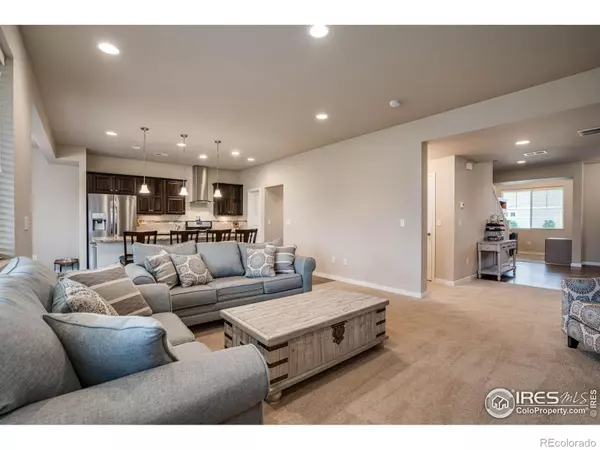 Fort Collins, CO 80524,521 Stout ST