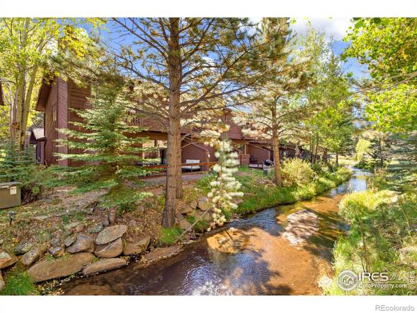 640 MacGregor AVE #15, Estes Park, CO 80517