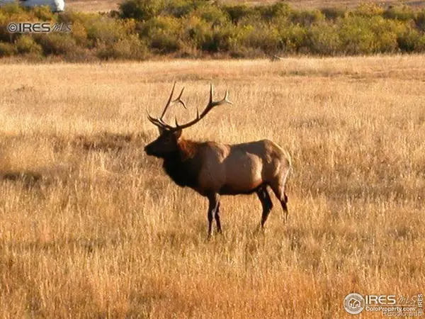 Estes Park, CO 80517,1565 Highway 66 #29