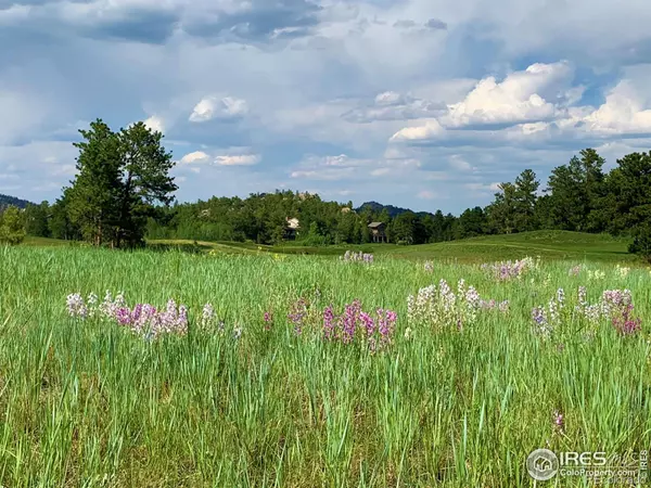 Red Feather Lakes, CO 80545,4 Fox Meadow LN
