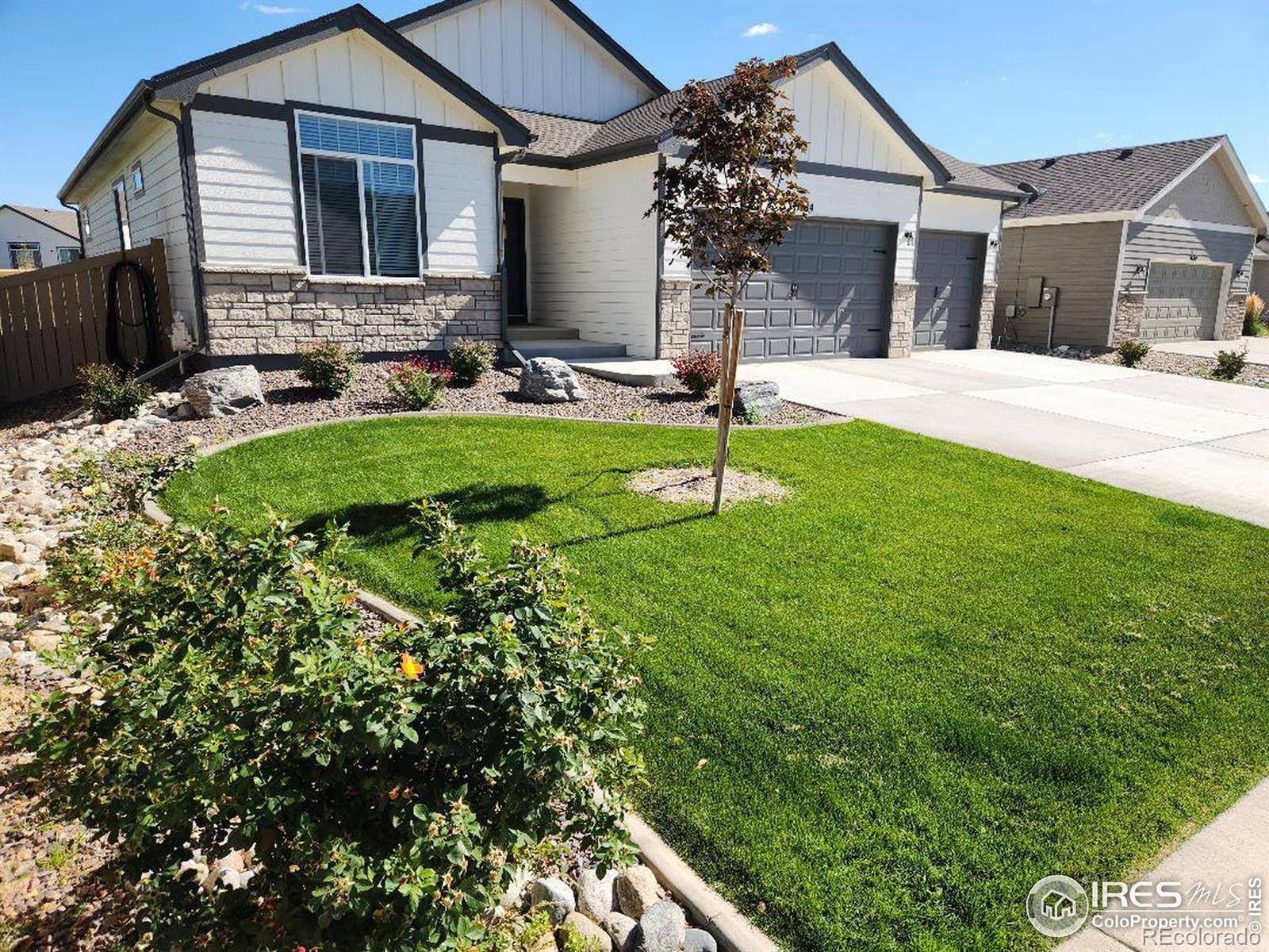 Wellington, CO 80549,7084 Cattails DR