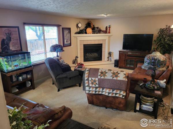 324 Spring Snow DR, Loveland, CO 80538