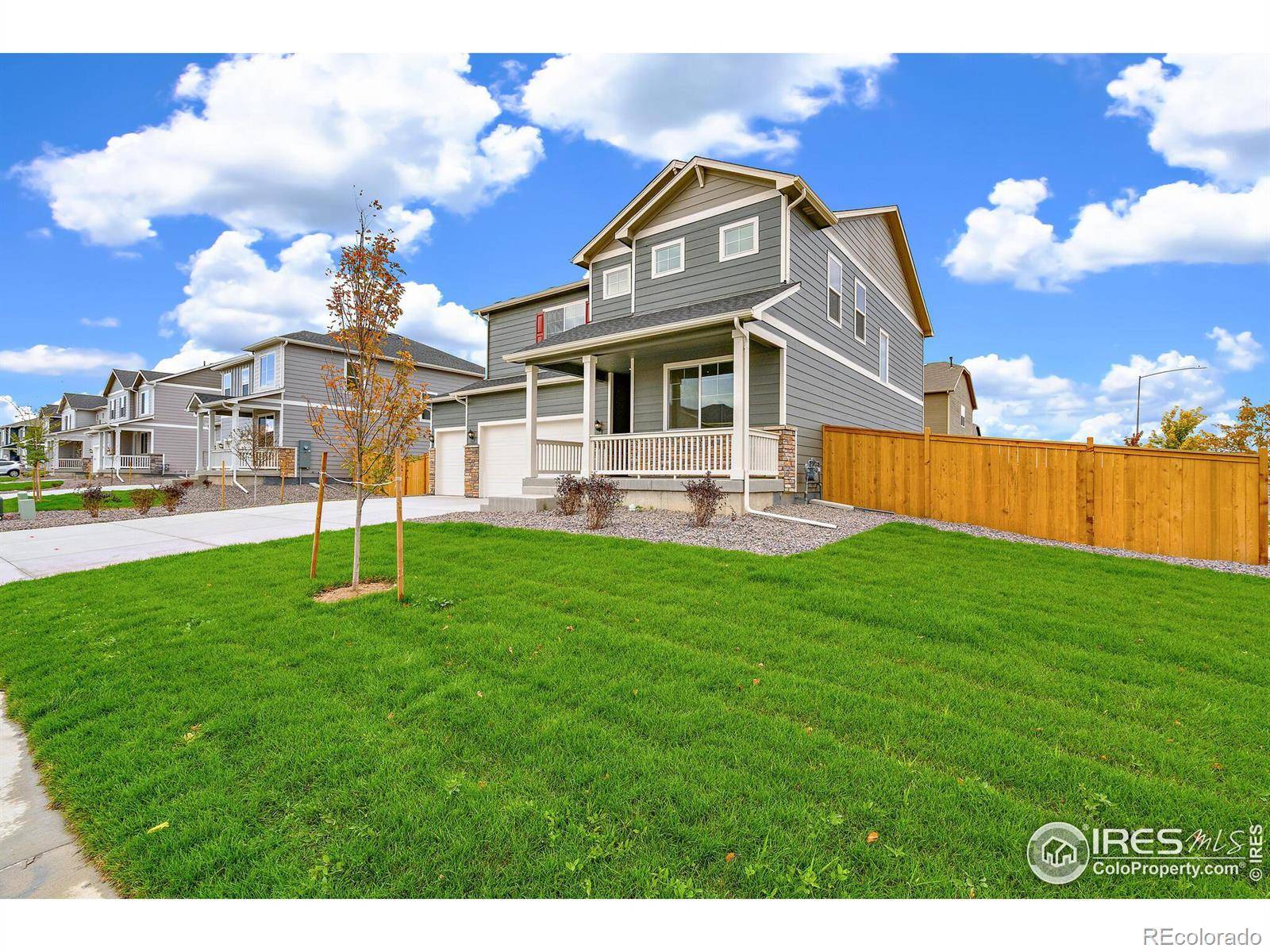 Wellington, CO 80549,3792 Speedwell ST
